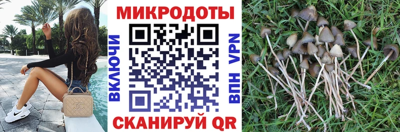 Галлюциногенные грибы Psilocybe  Купить где  Николаевск-на-Амуре 